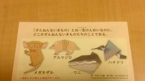 animorig2