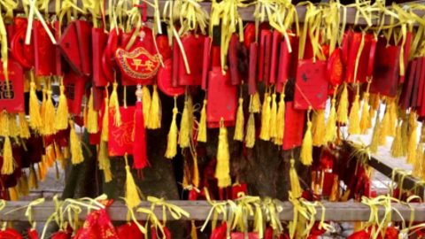 baiyun3