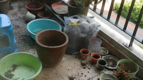 balcony1