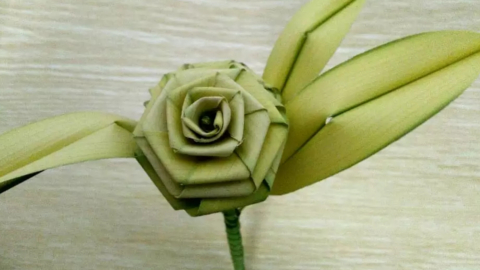 bamboo2