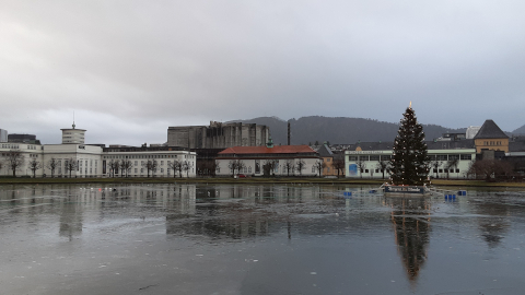 bergen1