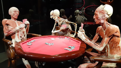 bodyworlds3
