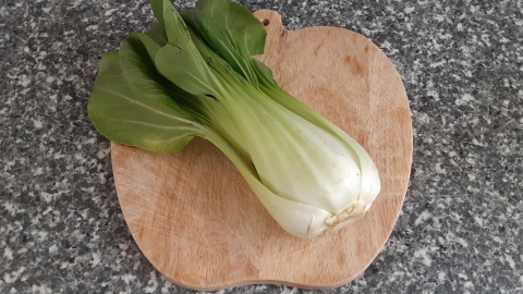 bokchoy