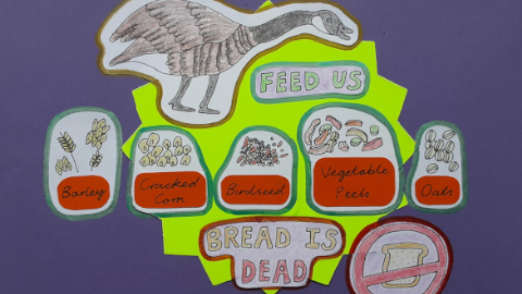 bread-is-dead