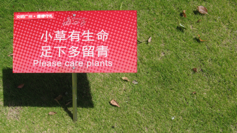 care-plants2