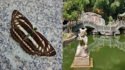 chenzhou3