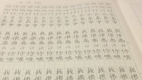 chinese4