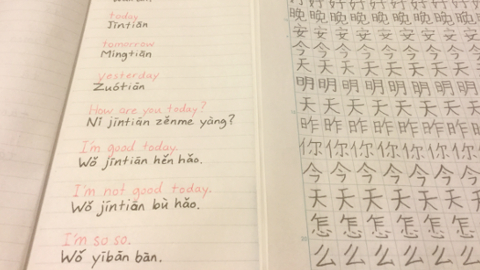 chinese5