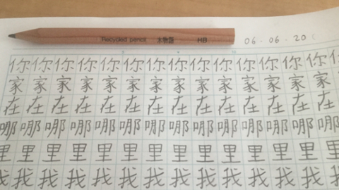 chinese6