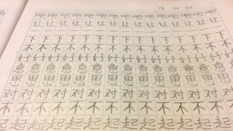 chinese7