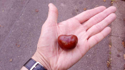 conker-heart