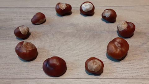 conkers