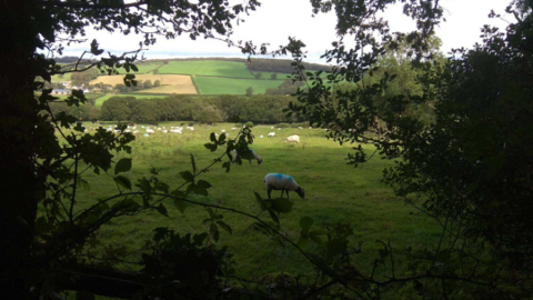 cornwall2
