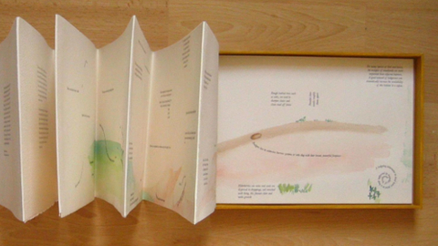 cranes4