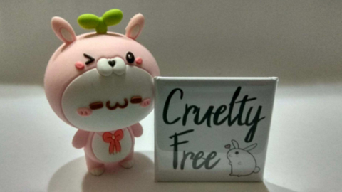 cruelty