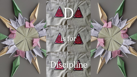 discipline