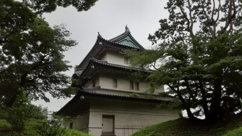 edo2