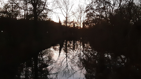 eveningview1