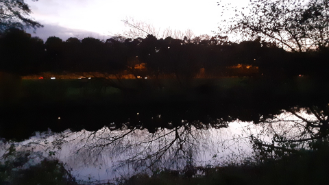 eveningview2
