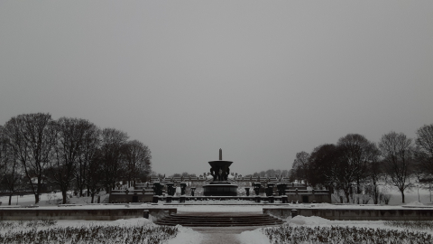 frogner5