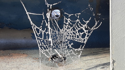 frost2