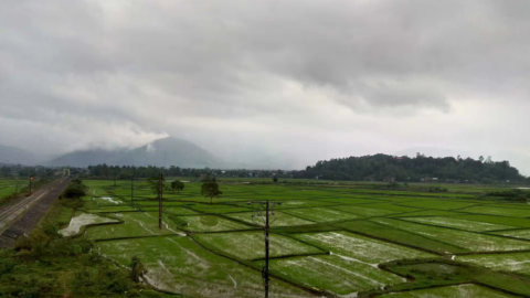 haivanpass4