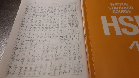 hanzi19