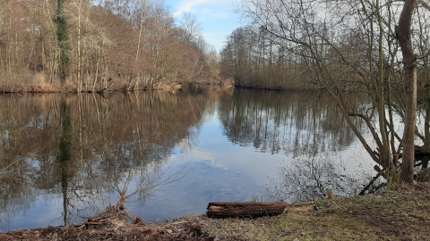 lake3
