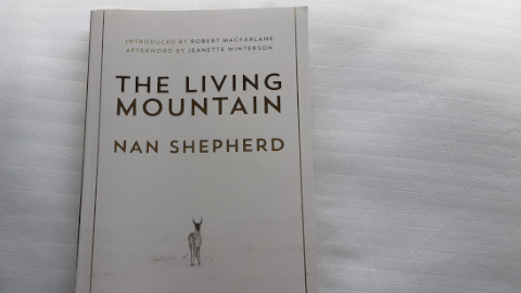 living-mountain