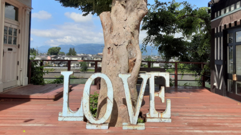 love