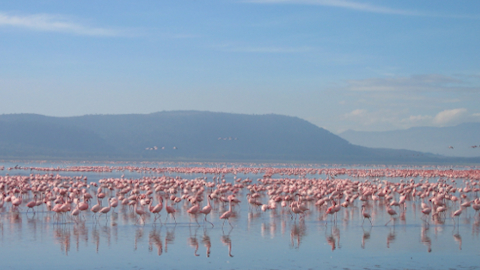 manyara2
