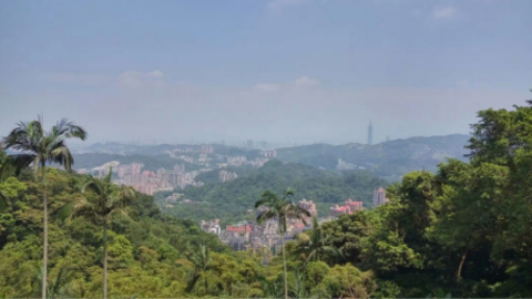 maokong1