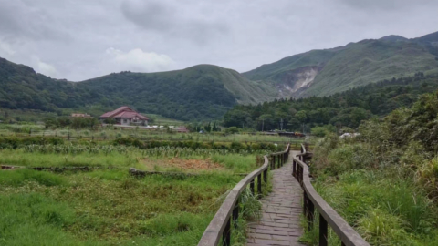 maokong6