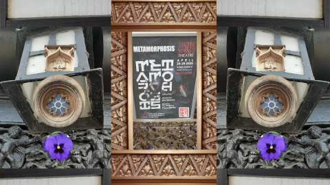 metamorphosis