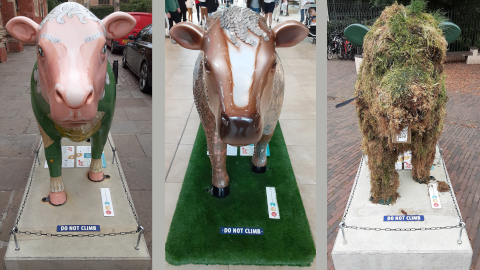 moo2