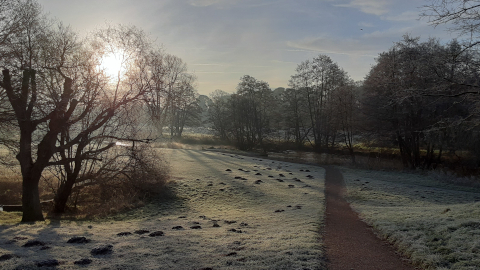 morning-view12