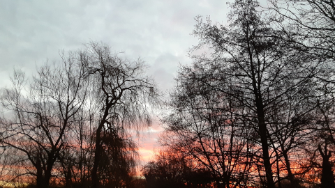 morning-view14