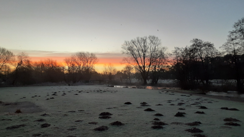 morning-view16