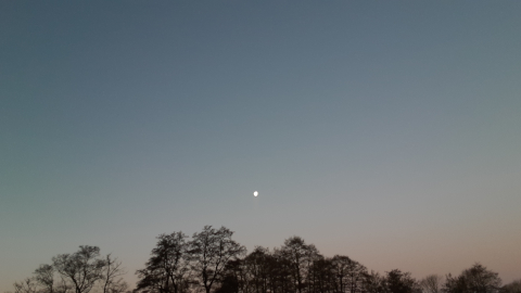 morning-view19