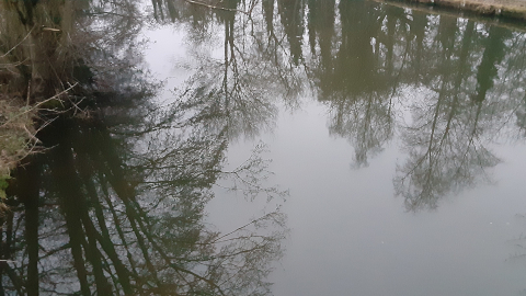 morning-view20
