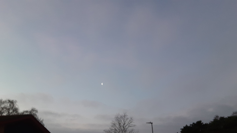 morning-view21