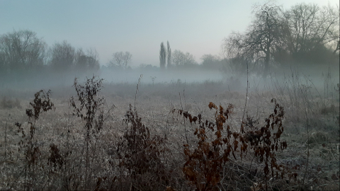 morning-view22