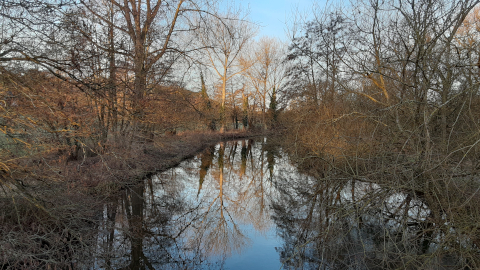 morning-view24