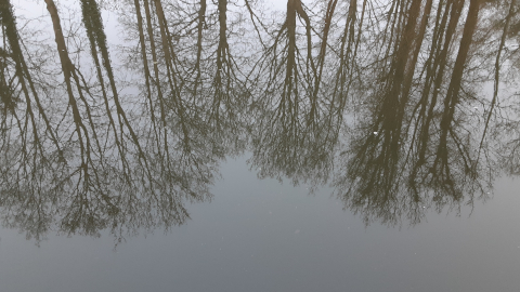 morning-view29