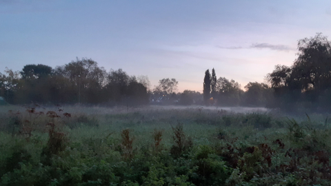 morning-view3