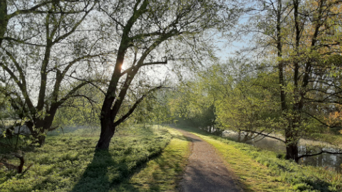 morning-view31