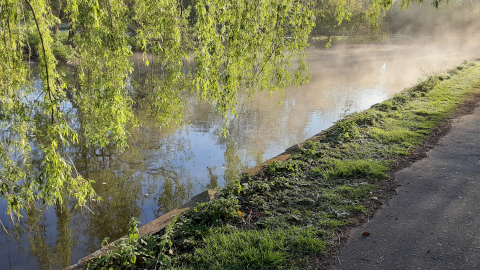 morning-view32