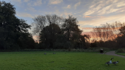 morning-view4