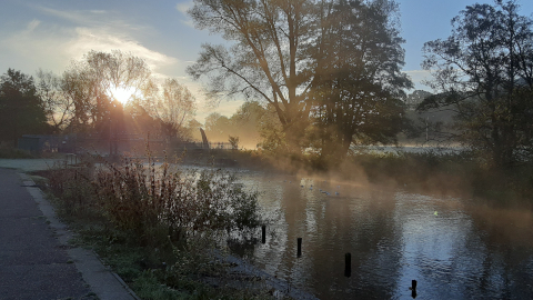 morning-view5
