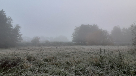 morning-view6